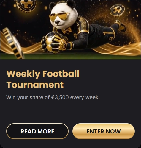 Weekly Football Tournament with panda goalkeeper